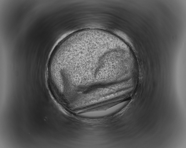 X0000086761040200705041444