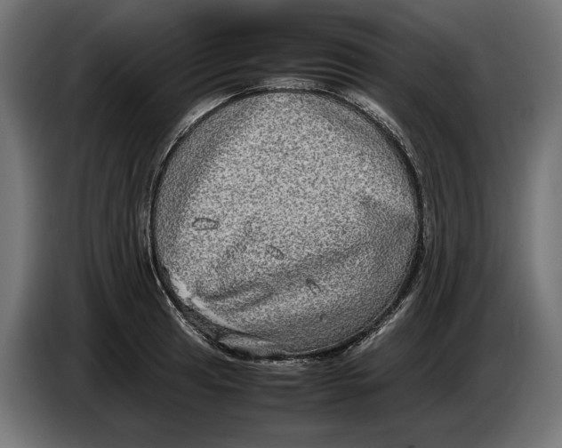 X0000086761041200705041444