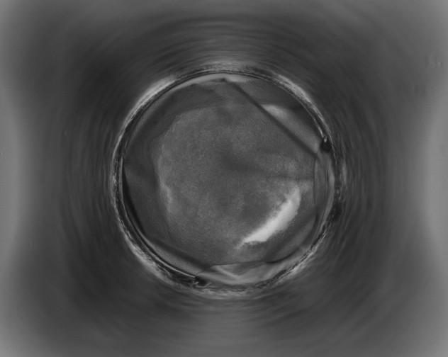 X0000086761042200705041444