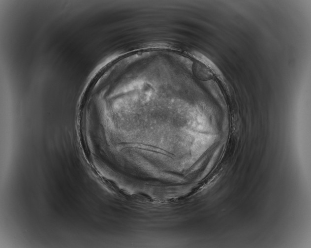 X0000086761043200705041444