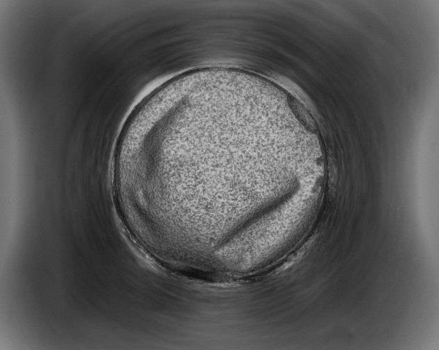 X0000086761044200705041444