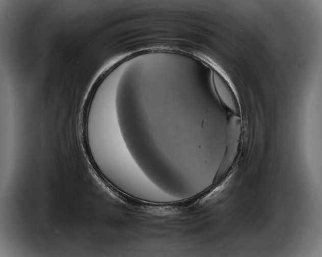 X0000086761045200705041444