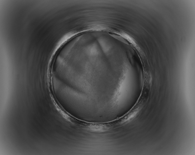 X0000086761046200705041444