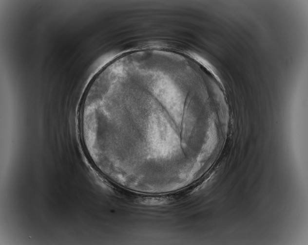 X0000086761047200705041444