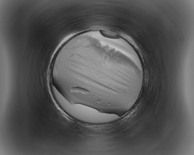 X0000086761048200705041444