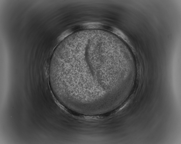 X0000086761049200705041444