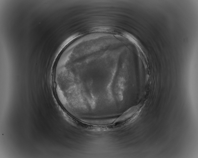 X0000086761050200705041444