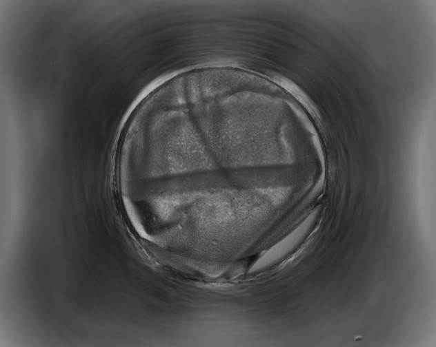 X0000086761052200705041444