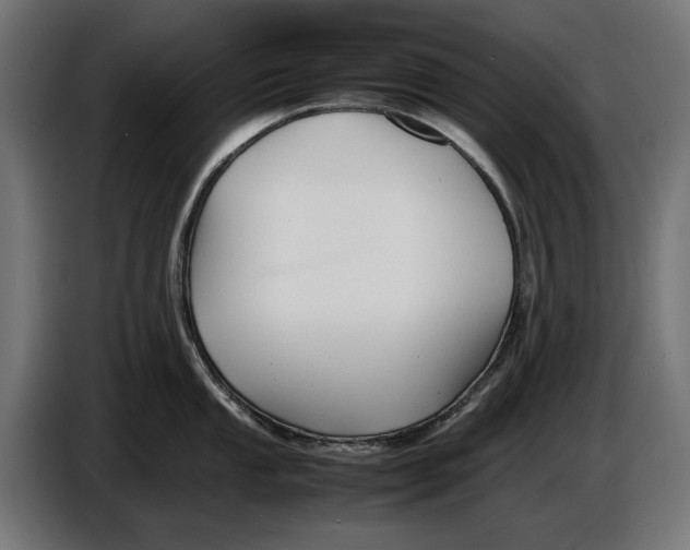 X0000086761053200705041444