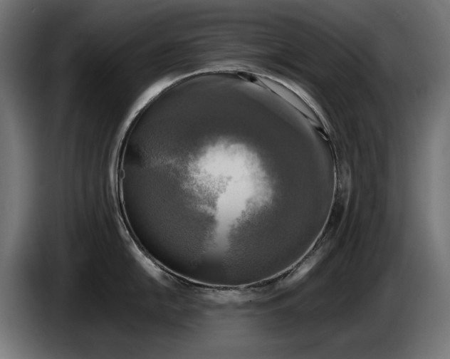 X0000086761054200705041444