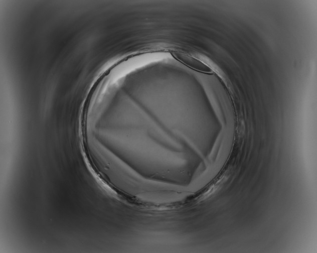 X0000086761055200705041444