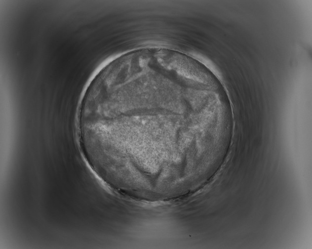 X0000086761056200705041444