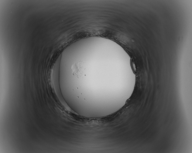 X0000086761058200705041444