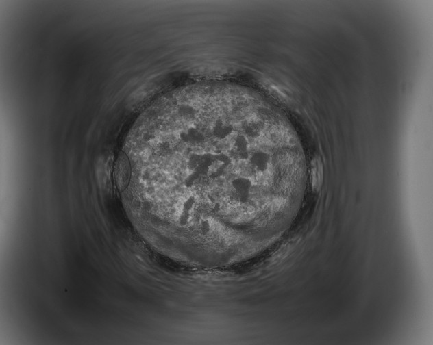 X0000086761059200705041444