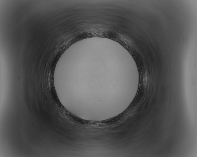 X0000086761060200705041443