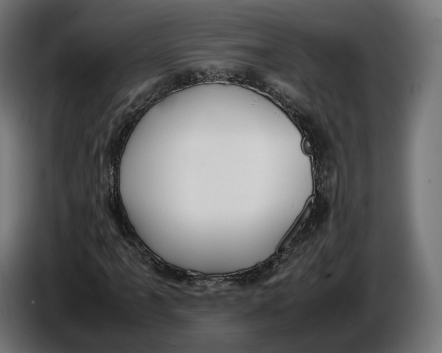 X0000086761061200705041443