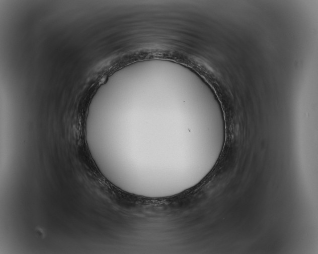 X0000086761062200705041443