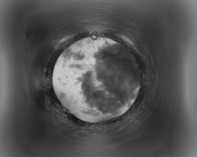 X0000086761063200705041443