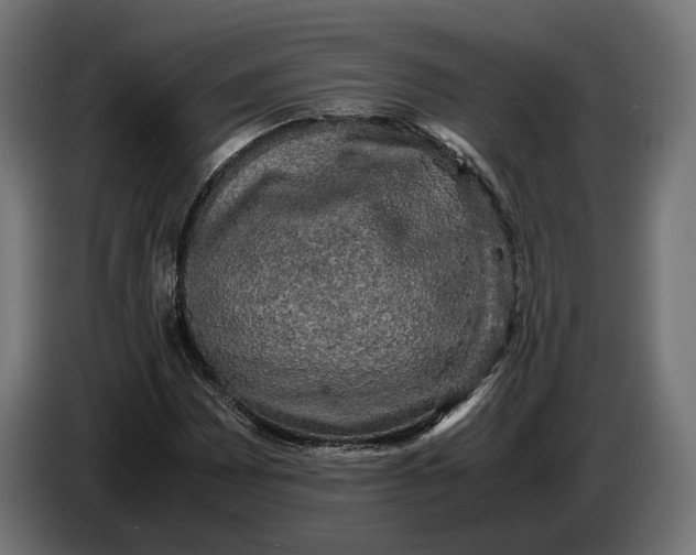 X0000086761065200705041443