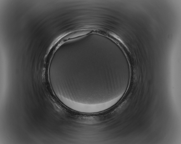 X0000086761066200705041443