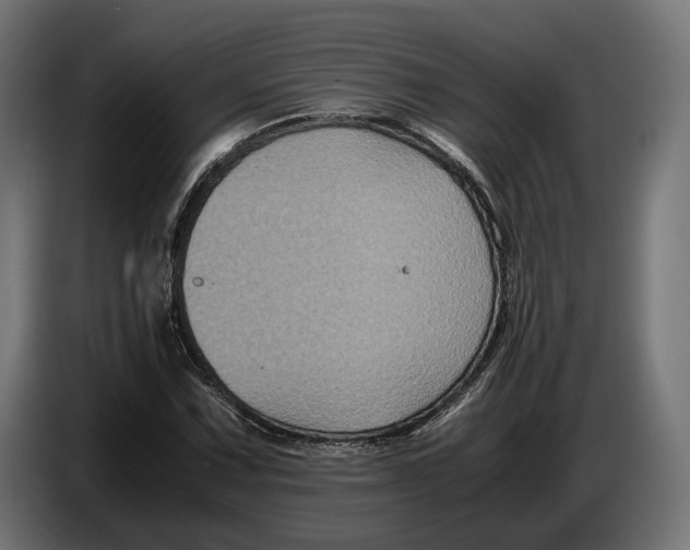 X0000086761067200705041443