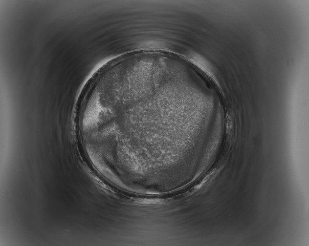 X0000086761068200705041443