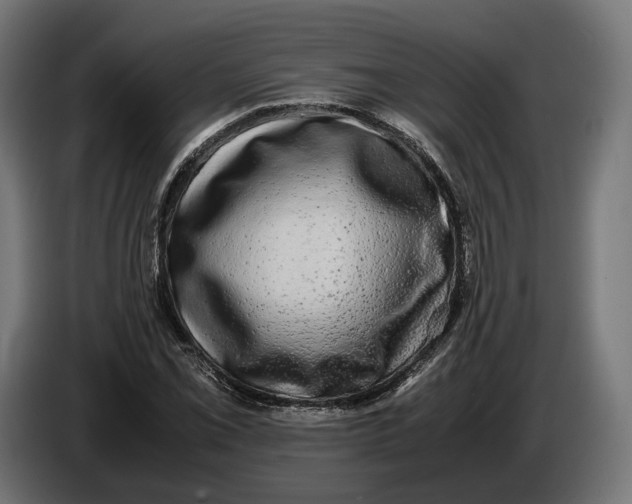 X0000086761069200705041443