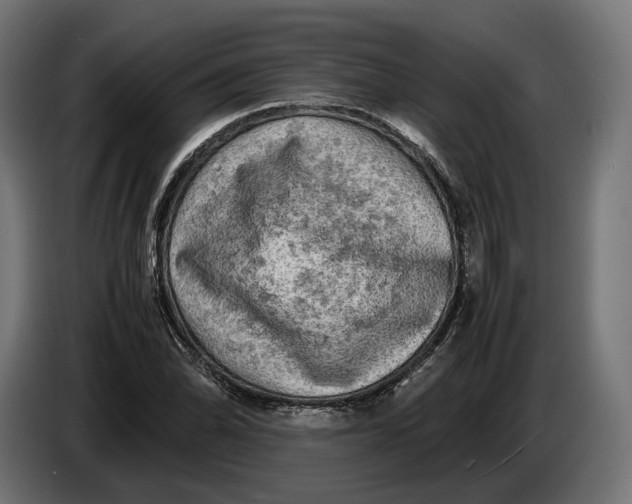 X0000086761070200705041443