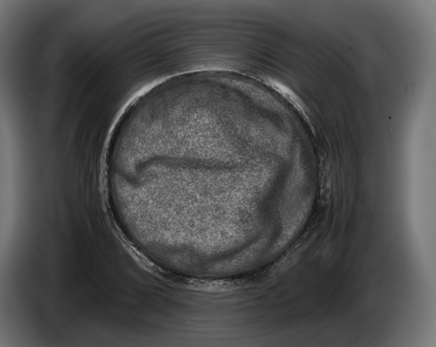 X0000086761072200705041443