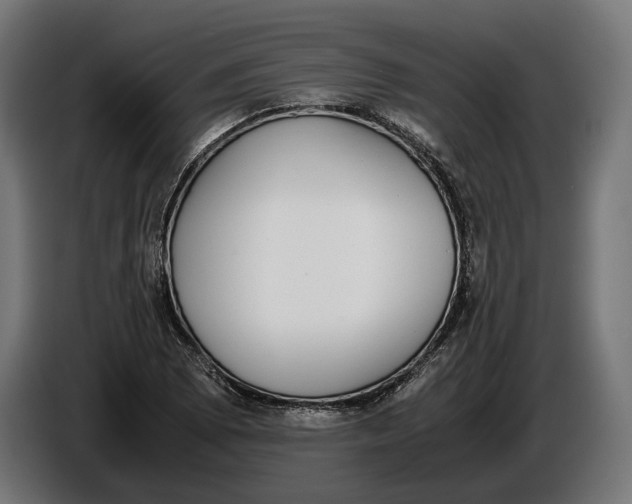 X0000086761073200705041443