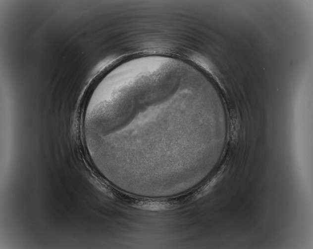 X0000086761074200705041443