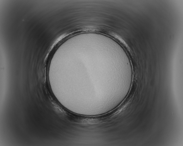 X0000086761075200705041443