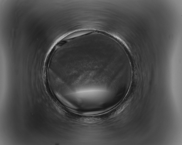 X0000086761077200705041443