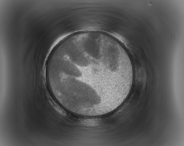 X0000086761078200705041443