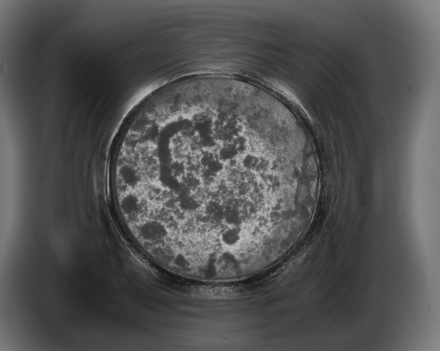 X0000086761079200705041443