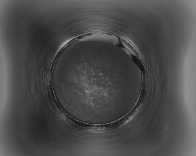 X0000086761081200705041443