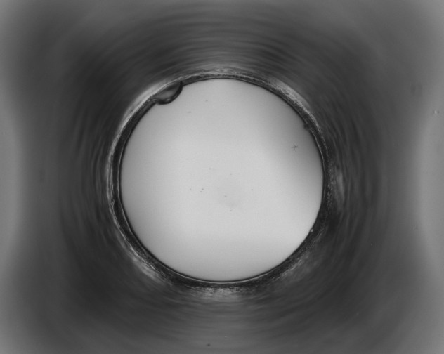 X0000086761082200705041443