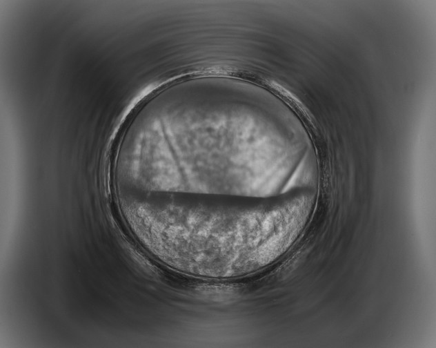 X0000086761083200705041443