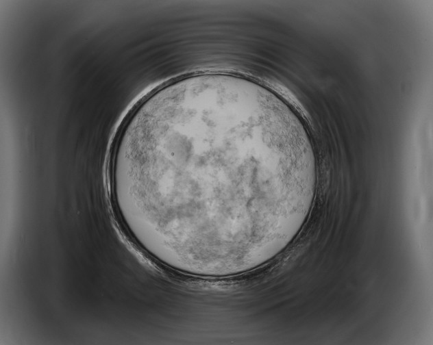 X0000086761084200705041443