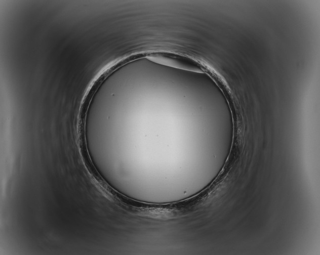 X0000086761085200705041443