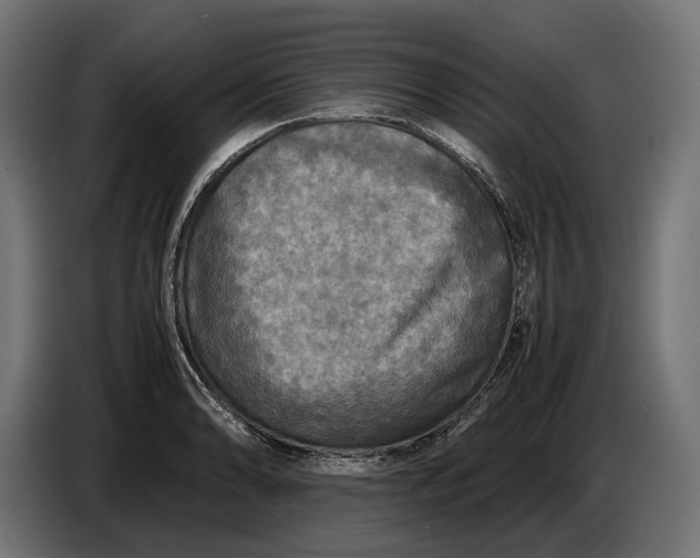 X0000086761086200705041443