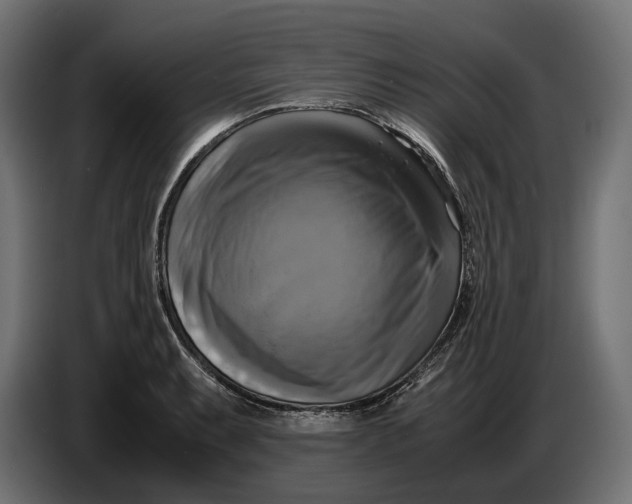 X0000086761087200705041443