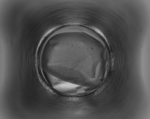 X0000086761088200705041443