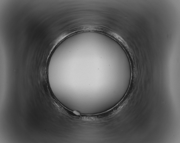 X0000086761089200705041443