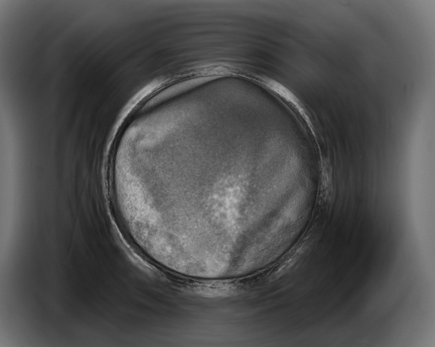 X0000086761090200705041443