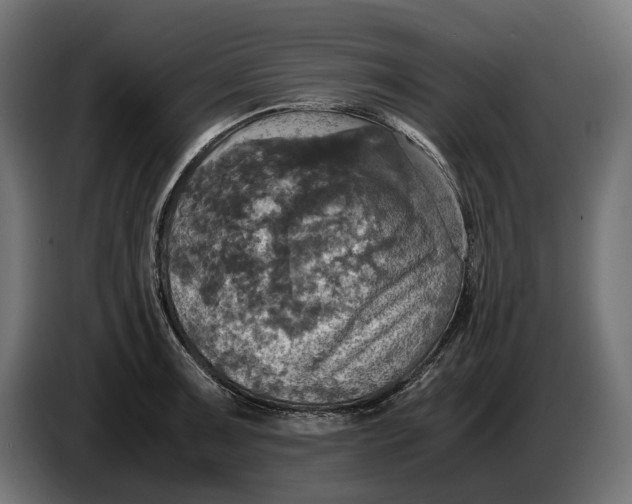 X0000086761091200705041443