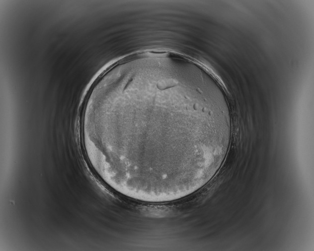 X0000086761092200705041443