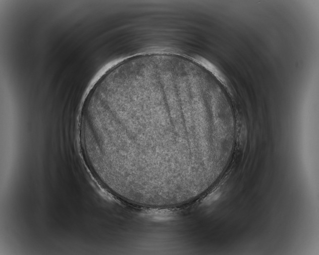 X0000086761094200705041443