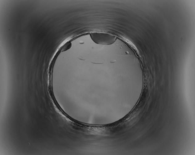 X0000086761095200705041443