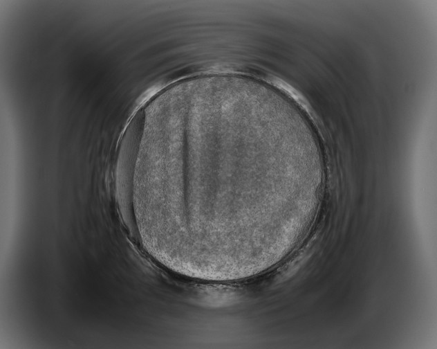 X0000086761097200705041443